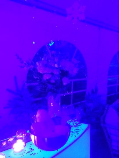 Jolie décoration sur le bar lumineux en location